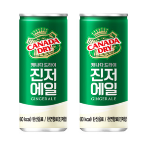 캐나다 드라이 진저에일 250ml x 60캔 진저엘, 60개