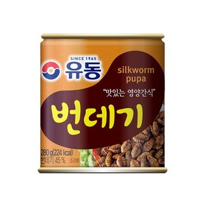 유동 번데기, 280g, 6개