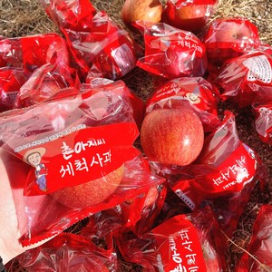 [달농]껍질째 바로먹는 세척사과 햇 부사 사과 당도선별 경북 꿀사과, 4.5kg 한입소과(25-30과), 1박스