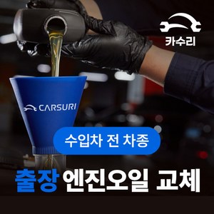 카수리 출장 엔진오일 교체 (수입차), 포드 - 토러스, 1개