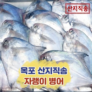 국산 자랭이 병어 목포 산지직송(14~20미), 1개, 2kg(횟감손질)