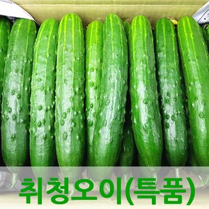 자체브랜드 싱싱한 오이 취청오이, 오이5kg(특품), 1개