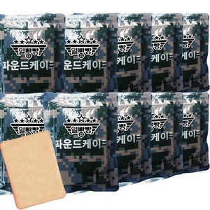 일빵빵 전투식량 파운드케이크/ 장기보관 비상식량 유통기간 3년, 12개, 100g