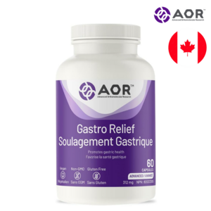 AOR 가스트로릴리프 60캡슐 고약사 매스틱검 알긴산 Gasto Relief, 1개, 60정