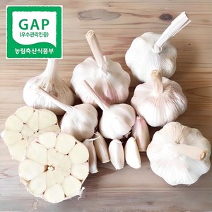 [GAP산지직송] 국산 마늘 햇 통마늘 안깐마늘 1kg 2kg, 1개, 1kg(대)