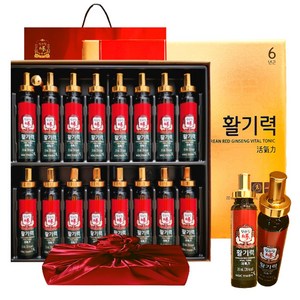 정관장 6년근 활기력 10병 + 보자기 + 쇼핑백, 320ml, 1세트