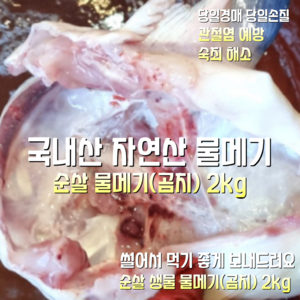 [산지직송] 국내산 자연산 동해안 새벽에조업한 손질 생물 물메기 곰치 순살만 2kg 1박스, 동해안 손질 생물 물메기 곰치 순살만 2kg