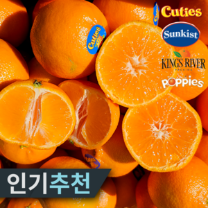 [재구매율97%] 15bix 당도선별 만다린 귤, 1개, 3kg 특상품