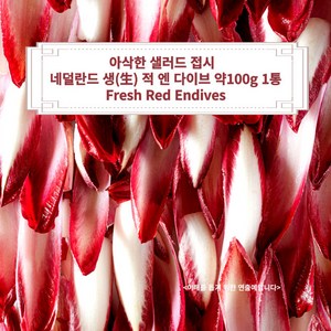 미트팬트리 생(生) 붉은 적엔다이브 약 100g 1통 Fesh Red Endives, 1개