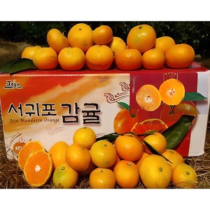 황금농원 서귀포 고당도 조생 귤 첫출하, 10kg[중대과(L-2L)], 1박스