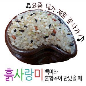 [흙사랑미] 맛있는쌀 혼합곡쌀 자취생 캠핑 가정에서 답례품 추천 산지직송 흙사랑농장 모이랑, 1개, 흙사랑미3kg