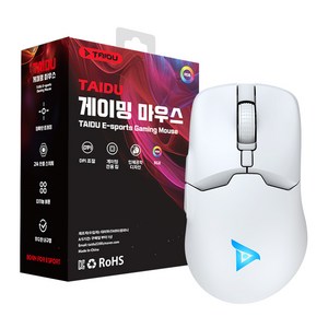 TAIDU 타이두 TSG608Po 초경량 무선 블루투스 게이밍 마우스, 화이트