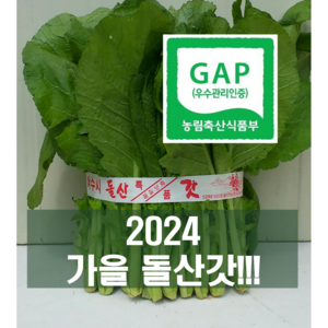 류가네 여수 돌산갓 5kg 10kg(무료배송) GAP 인증, 1박스, 10kg