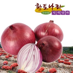 (황토나라)전남 무안 햇자색양파 3kg. 5kg 10kg, 3kg, 1개