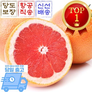 [믿고마트] 레드루비 자몽 생과 항공직송, 1박스, 자몽 대과 10과(개당 370g내외)