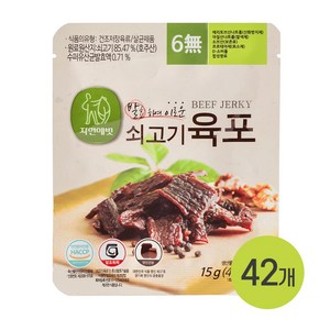 자연애벗 자연애벗 발효 쇠고기육포, 15g, 42개