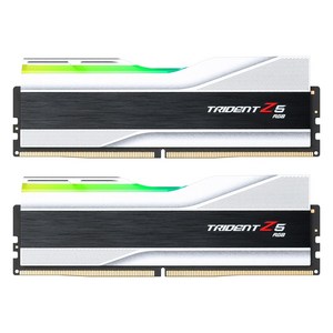 G.SKILL DDR5-6000 CL36 TRIDENT Z5 RGB J 실버 패키지 (32GB(16Gx2)), 2개