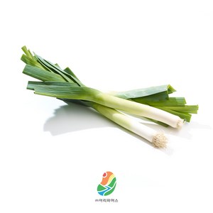 [깐데이] 당일손질 국내산 세척 깐대파, 5kg, 1박스