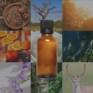 조향베이스 조향원료 [ 20ml ], 1개, 32 블랙커런트