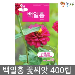 백일홍 중포장 씨앗 400립, 백일홍중포장, 1개