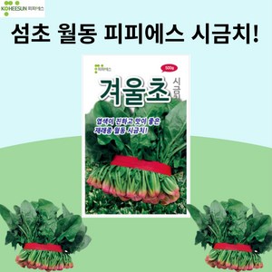 겨울초 시금치 500g 시금치 월동 대량 씨앗 종자 배추 김장 텃밭 모종, 1개