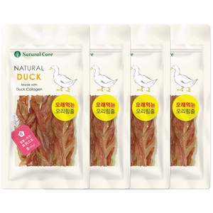 네츄럴코어 네츄럴덕 힘줄 트위스트 S, 치킨, 40g, 4개