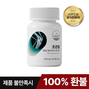 [공식판매처] 초관절 연골관절엔 MSM2000 관절 영양제 하루초월, 1개, 60정