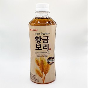 롯데 황금보리, 500ml, 24개