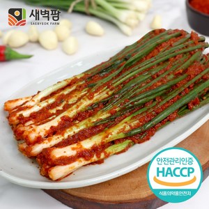 새벽팜 파김치 1kg 2kg 3kg 국내산 100% 전라도김치, 1개