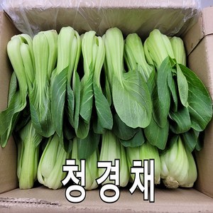 청경채 국내산 청경채 못난이 상 4kg 1박스 야채맘, 1개