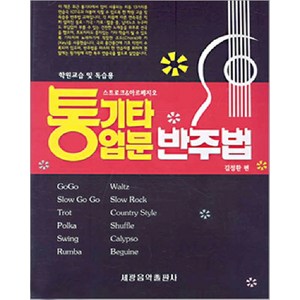 통기타 입문 반주법, 세광아트, 김정환