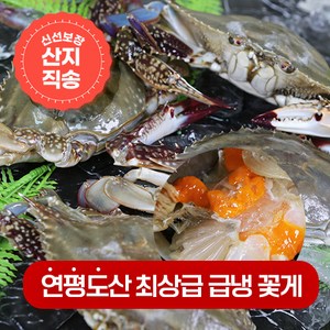 연평도 제철 최상급 급냉 냉동 꽃게, 9.연평도 급냉 알배기암꽃게 대 1kg(3~4미), 1개