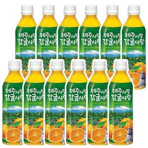 롯데칠성음료 제주감귤 500ml x 12펫, 12개