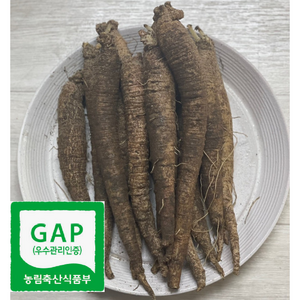 우수관리 인증-강원도 홍천 더덕 흙더덕 중 상 특, 1kg (중), 1개