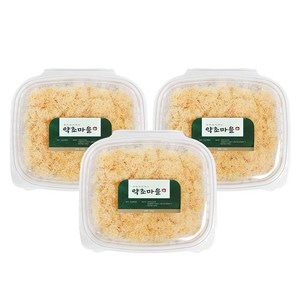 약초마을 산삼배양근 생물 300g(100g 3팩), 1개