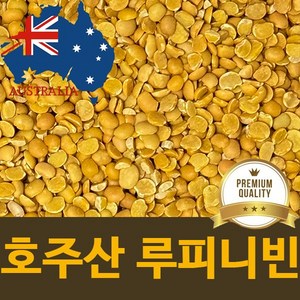 껍질깐 루피니빈콩 호주산 루핀콩 LUPIN 100%, 1개, 1kg