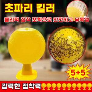 [한시적 특가중!] 초강력 초파리 끈끈이 트랩 날파리트랩 초파리퇴치제 벌레퇴치트랩 초파리없애는법 강력접착 날파리 퇴치기 붙이는 모기 퇴치제, 10개, 1개입