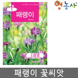 패랭이꽃 씨앗 1500립 중포장 패랭이 영농사, 패랭이중포장, 1개