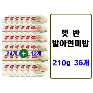 햇반 발아현미밥, 210g, 36개