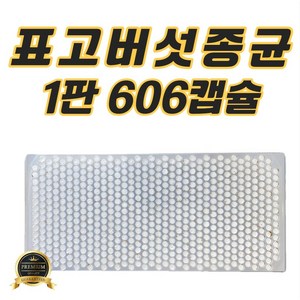 표고버섯종균(1판 606개 접종형)느타리 표고 성형 버섯 종균 텃밭 주말농장 버섯종균, 표고버섯종균(1판 606개 접종형)