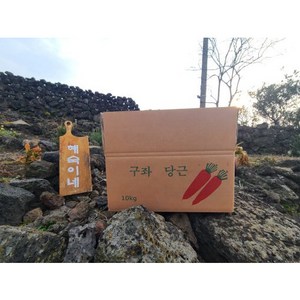 제주 친환경 구좌당근 무농약 (흙!!!)당근 크기 소(100~130g) 10kg 1개 [원산지:국산(제주특별자치도 제주시)], 1박스, 5kg