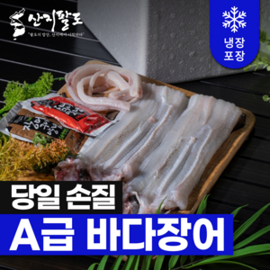 [산지팔도] 통영 직송 자연산 바다장어 손질장어 캠핑 구이용 100% 품질보증, 1박스, 장어러버 손질 통영 바다장어 3kg (약 6~10미)
