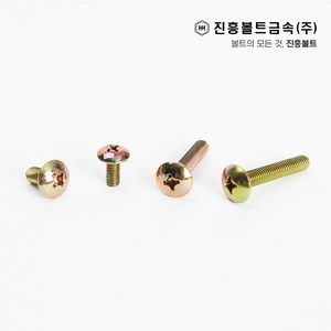 일반 트러스 머리 볼트(6mm ~ 50mm) M4 M5 M6, 10mm, 1개