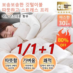 1/1+1거위털 이불 구스다운이불 구스다운 이불 한파용 구스이불, 그레이*1+팥색 *1