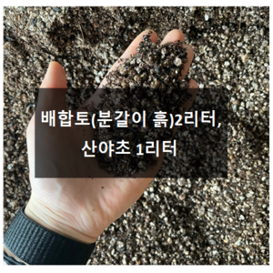 둥가다육 다육이 분갈이 흙 다육식물 배합토 산야초, 01.배합토 2리터, 1개, 2L