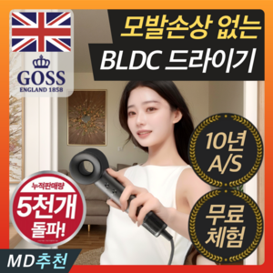 영국 프리미엄 음이온 초고속 BLDC 헤어 드라이기 항공모터 LED, 모던그레이