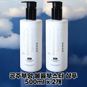 2025 HOT 여성탈모샴푸 가히 공주부양 볼륨부스터 샴푸 탈모관리 볼륨업 공중부양 탈모 볼륨 윤기 케어, 2개, 500ml