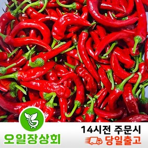 < 오일장 상회 > 국내산 홍고추 상등급 500g 1kg 2kg내외, 1개, 500g내외