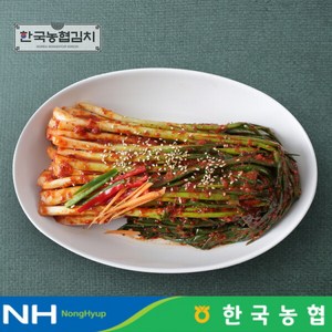 [한국농협김치] 전라도 순천 남도 파김치 1kg, 1개