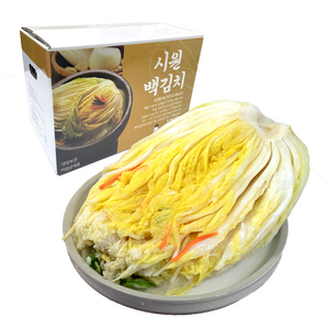 [시원밥상] 고명없는 깔끔한 백김치 10kg 수입 배추 대용량, 1개